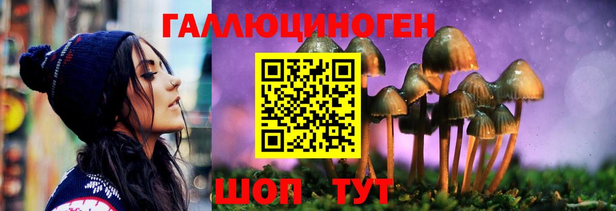 Рубцовск  Псилоцибиновые грибы Psilocybe  Вход с VPN 